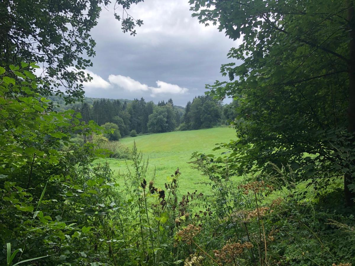 Ferienwohnung Waldruhe Hessisch Oldendorf Exteriör bild